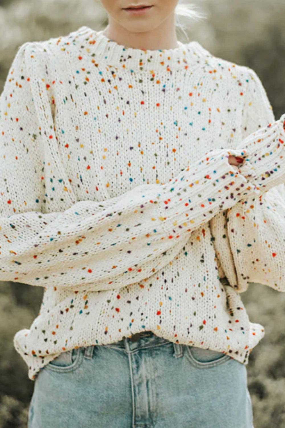 Confetti Cable Knit Crew Neck Sweater